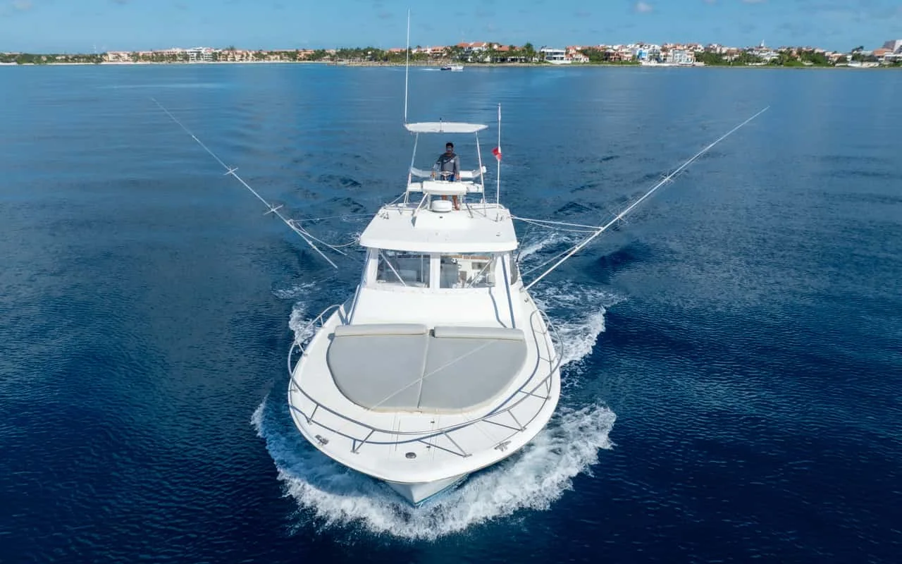 TailWalker — 38 ft Express Sportfisher photo 1 of 12